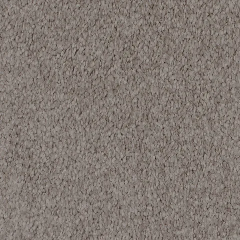 Fur Seal carpet swatch